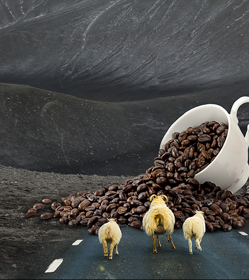 Iceland Volcano 
Coffee Shop