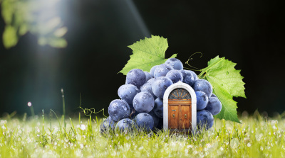 Tili Wine Italy Guest Homes architecture competition - design a collection of eco-friendly guest homes for organic winery in Italy!
